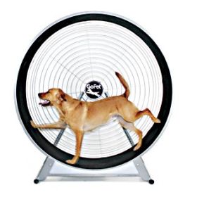 GoPet TreadWheel Leash-Free Dog Exercise Wheel - Large