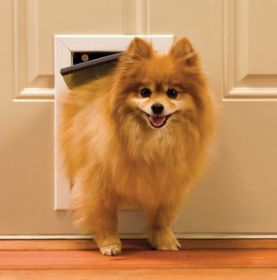 PetSafe Freedom Pet Door - Small