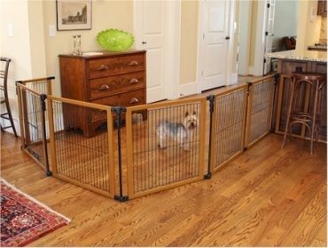 The Perfect Pet Gate