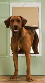 PetSafe Plastic Dog Door - Extra Large
