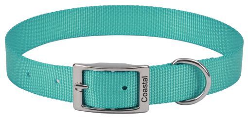 Coastal Pet Single-ply Teal Nylon Dog Collar (Size: 10"L x 3/8"W)