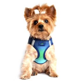 American River Choke Free Dog Harness Ombre Collection - Northern Lights (Option: XX-Small)