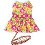 Citrus Slice Dog Dress with Matching Leash (Option: X-Small)