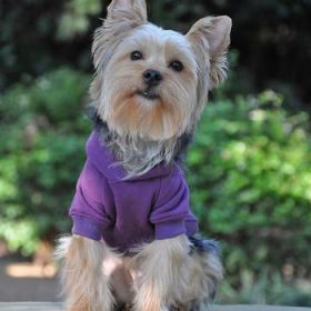 Flex-Fit Dog Hoodie - Purple (Option: X-Small)