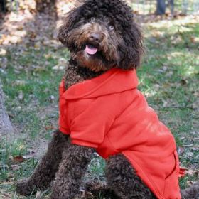 Flex-Fit Dog Hoodie - Red (Option: X-Small)