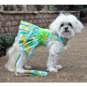Pineapple Luau Dog Harness Dress with Matching Leash (Option: X-Small)