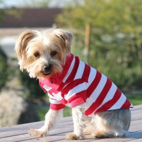 Striped Dog Polo - Flame Scarlet Red and White (Option: X-Small)