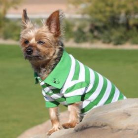 Striped Dog Polo - Greenery and White (Option: X-Small)