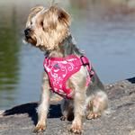 Wrap and Snap Choke Free Dog Harness by Doggie Design - Pink Hibiscus (Option: X-Small)